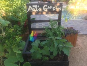 AJ_S Garden Box