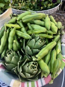 Artichokes and Fava beans