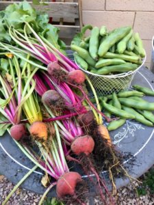 Beets and fava beans