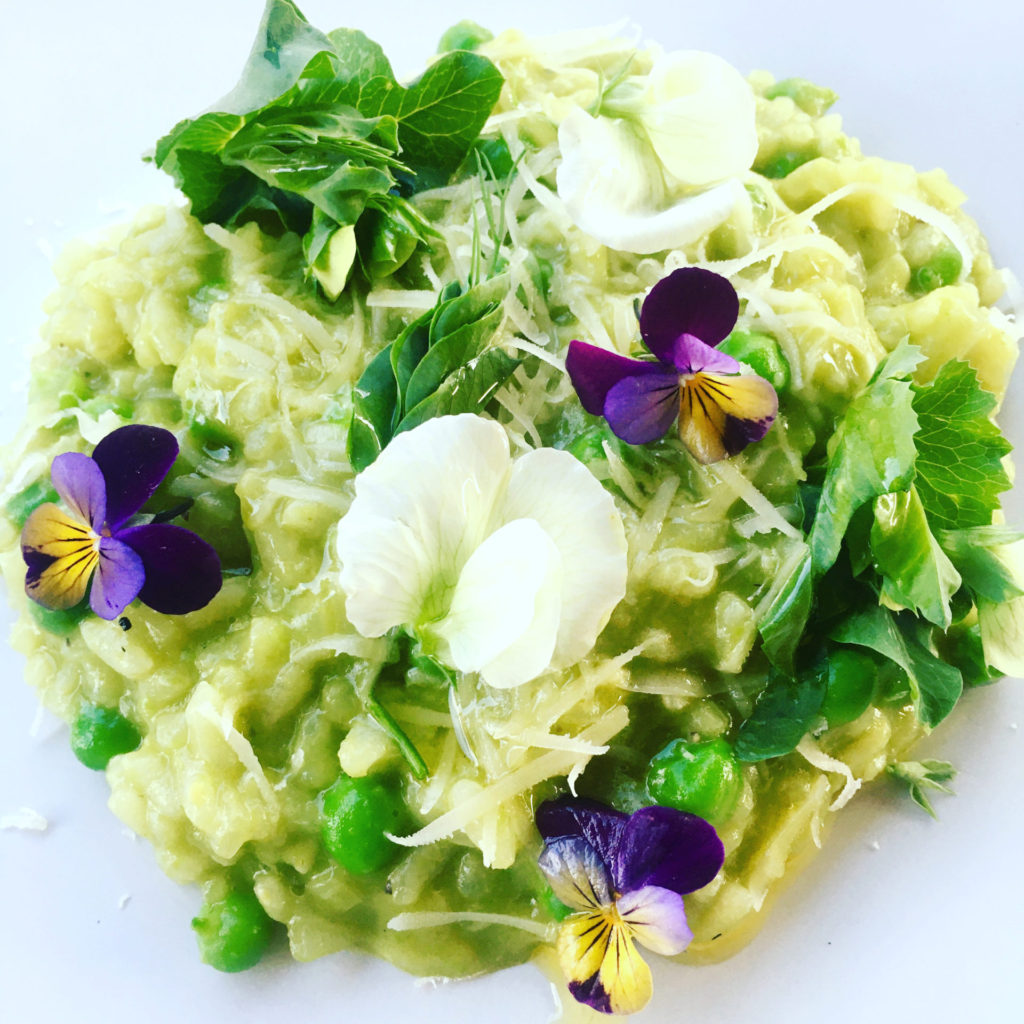 Fresh Pea Risotto