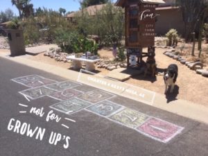 Fun Play in front of the little library