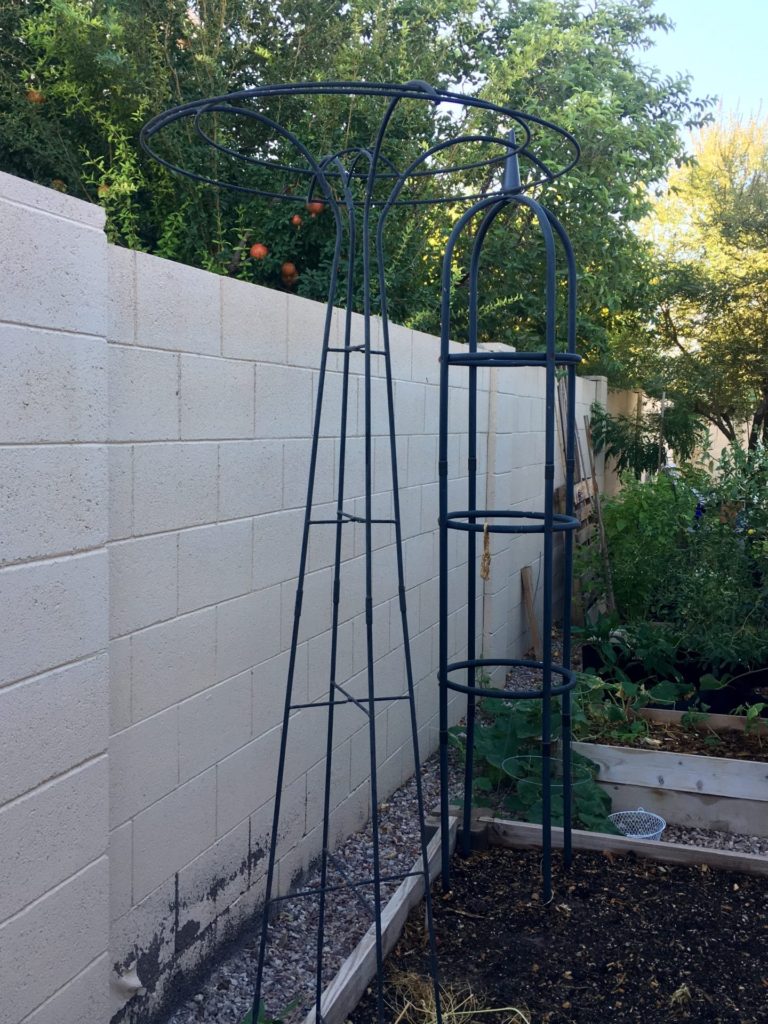 Trellises in the Raised Bed