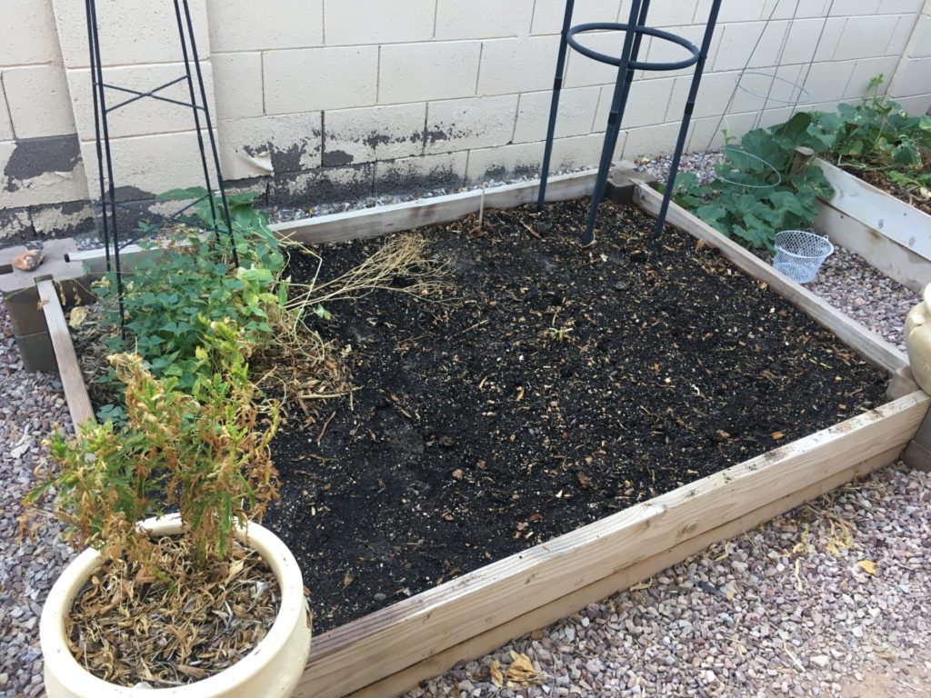 mY 4x6 raised bed