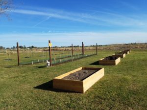 Starting the raised beds