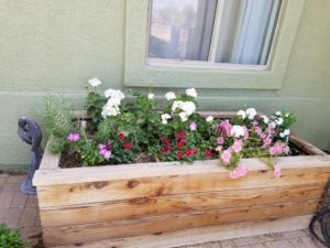 Entryway Flowers