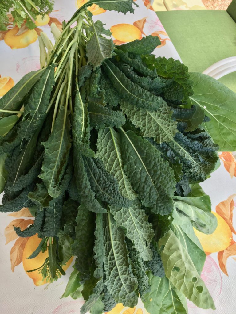 Lacinato Kale