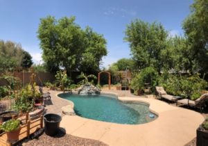 Pool and greenery