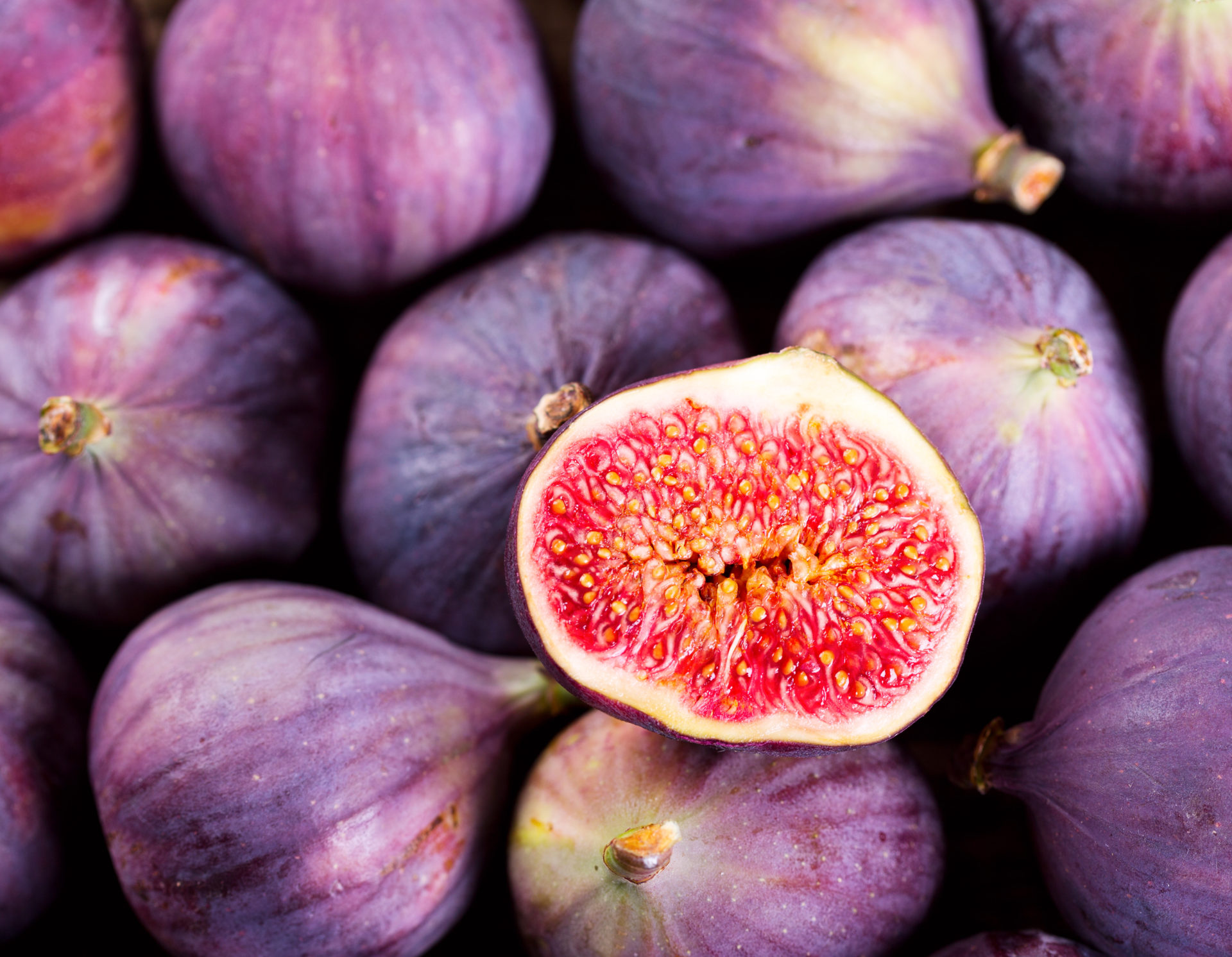 Fig Trees: Planting, Growing, and Harvesting Figs