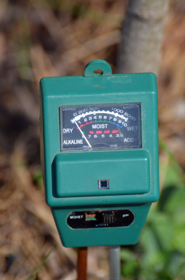 Watering | Gardening in the Desert